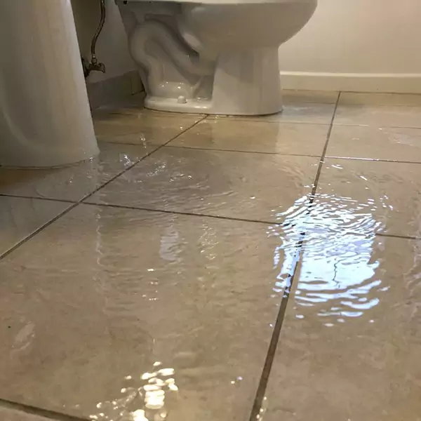 Expert Flooded Bathroom Restoration in Caldwell, ID 