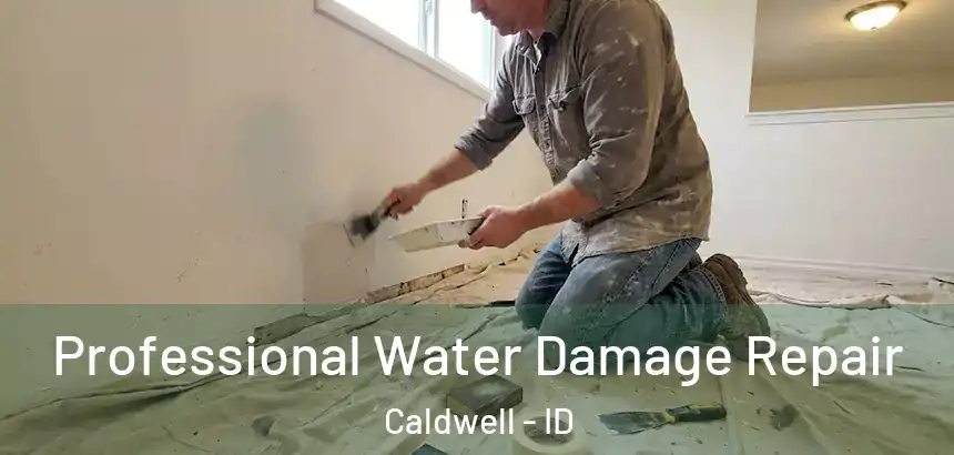  Professional Water Damage Repair Caldwell - ID