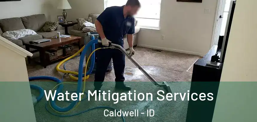  Water Mitigation Services Caldwell - ID